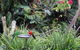 Montville Oceanview Cottages - thumb 9