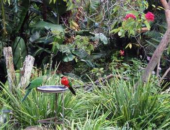 Montville Oceanview Cottages - Accommodation BNB 9