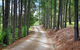 Montville Oceanview Cottages - thumb 24