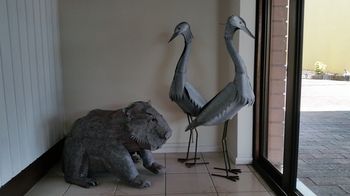 Motel In Nambour - Accommodation BNB 7