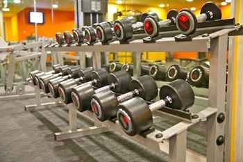 UrbanMinder @ Spencer - Accommodation BNB 7