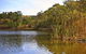 Eldorado Blue Wren Stay - thumb 6