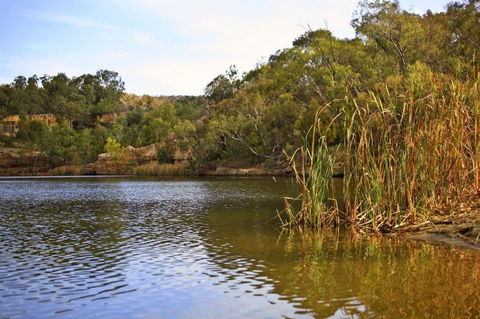 Eldorado Blue Wren Stay - Accommodation BNB 6