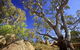 Eldorado Blue Wren Stay - thumb 8