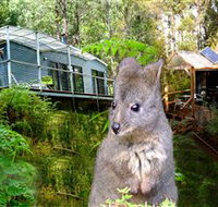 Huon Bush Retreats - Accommodation BNB