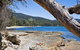 Bay Retreat Port Arthur - thumb 5
