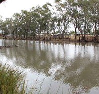 Riverbank Caravan Park - Accommodation BNB