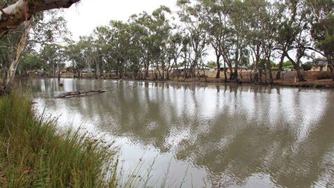 Riverbank Caravan Park - Accommodation BNB 0