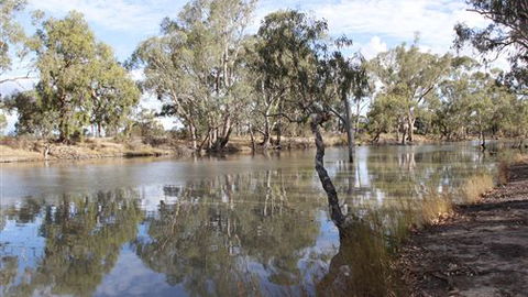 Riverbank Caravan Park - Accommodation BNB 5