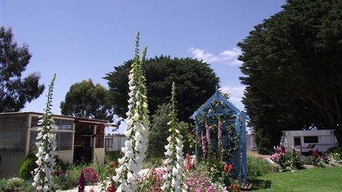 Colac Otway Caravan & Cabin Park - Accommodation BNB 1