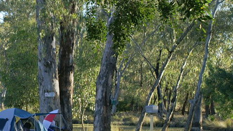 Numurkah Caravan Park - Accommodation BNB 2