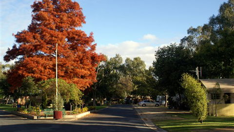 Numurkah Caravan Park - Accommodation BNB 6