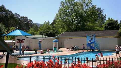Porepunkah Pines Holiday Park - Accommodation BNB 0
