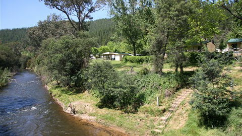 Porepunkah Pines Holiday Park - Accommodation BNB 3
