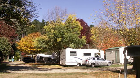 Porepunkah Pines Holiday Park - Accommodation BNB 6