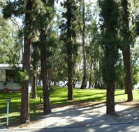 Barham Caravan  Tourist Park - Accommodation BNB