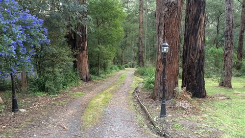 Wattle Tree Creek Cottages - Accommodation BNB 5