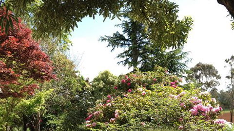 Chestnut Springs - Accommodation BNB 2