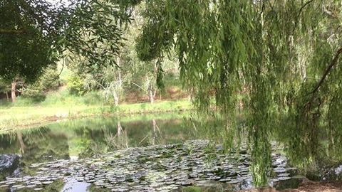 Chestnut Springs - Accommodation BNB 7