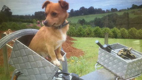 Farm Accommodation - Accommodation BNB 1