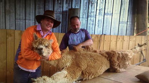 Farm Accommodation - Accommodation BNB 3