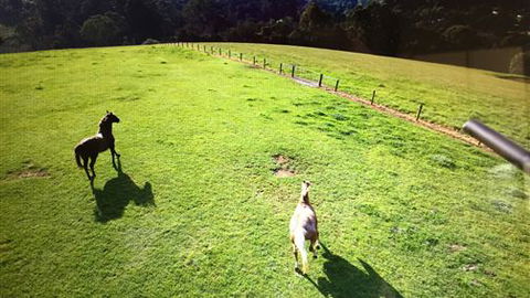 Farm Accommodation - Accommodation BNB 4