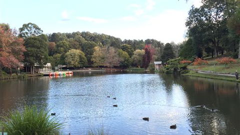 Farm Accommodation - Accommodation BNB 5