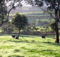 Bellevue Farmstay - Accommodation BNB