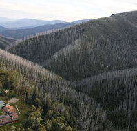 Howmans Gap Alpine Centre YMCA - Accommodation BNB