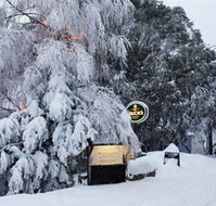 Feathertop Alpine Lodge - Accommodation BNB