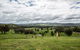 Holmesglen At Eildon - The Homestead - thumb 3