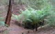 Muxy's Place - thumb 1