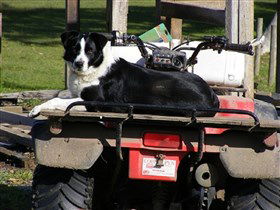 Breakaway Farmstay - Accommodation BNB 3