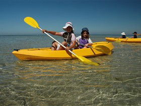 Ceduna Shelly Beach Caravan Park And Beachfront Villas - Accommodation BNB 2