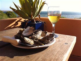 Ceduna Shelly Beach Caravan Park And Beachfront Villas - Accommodation BNB 4