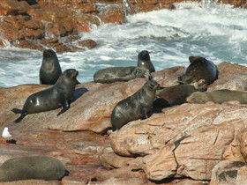 Foul Bay SA Accommodation BNB