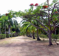 Alva Beach Tourist Park - Accommodation BNB
