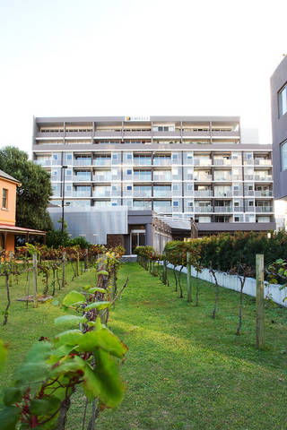 B7 Honeysuckle Apartments - Accommodation BNB 1