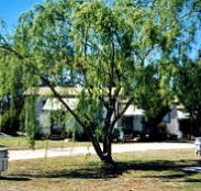 Blue Topaz Caravan Park  Camping Ground - Accommodation BNB