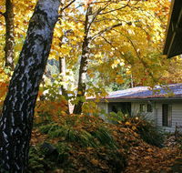 Bogong Village - Accommodation BNB