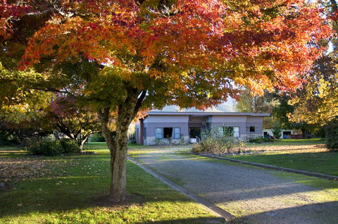 Buffalo Motel And Country Retreat - Accommodation BNB 0