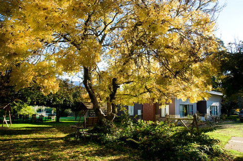 Buffalo Motel And Country Retreat - Accommodation BNB 5