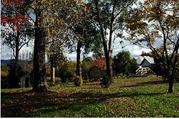 Buffalo Motel And Country Retreat - Accommodation BNB 8