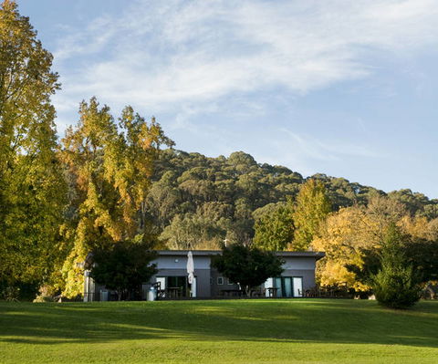 Buffalo Motel And Country Retreat - Accommodation BNB 6