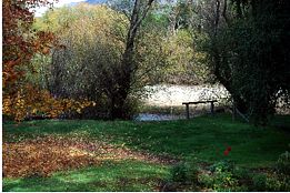 Buffalo Motel And Country Retreat - Accommodation BNB 9