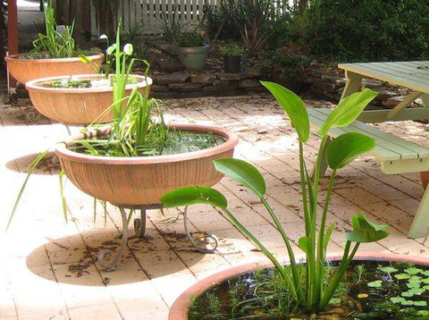 Burwood Bed & Breakfast - Accommodation BNB 3