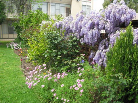 Capri Lodge Apartments - Accommodation BNB 1