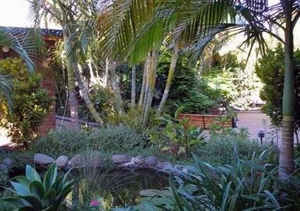 Comfort Inn Bert Hinkler - Accommodation BNB 3