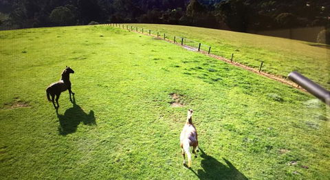 Farm Accommodation - Accommodation BNB 8