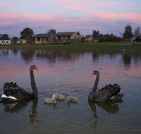 Mansfield Holiday Park - Accommodation BNB